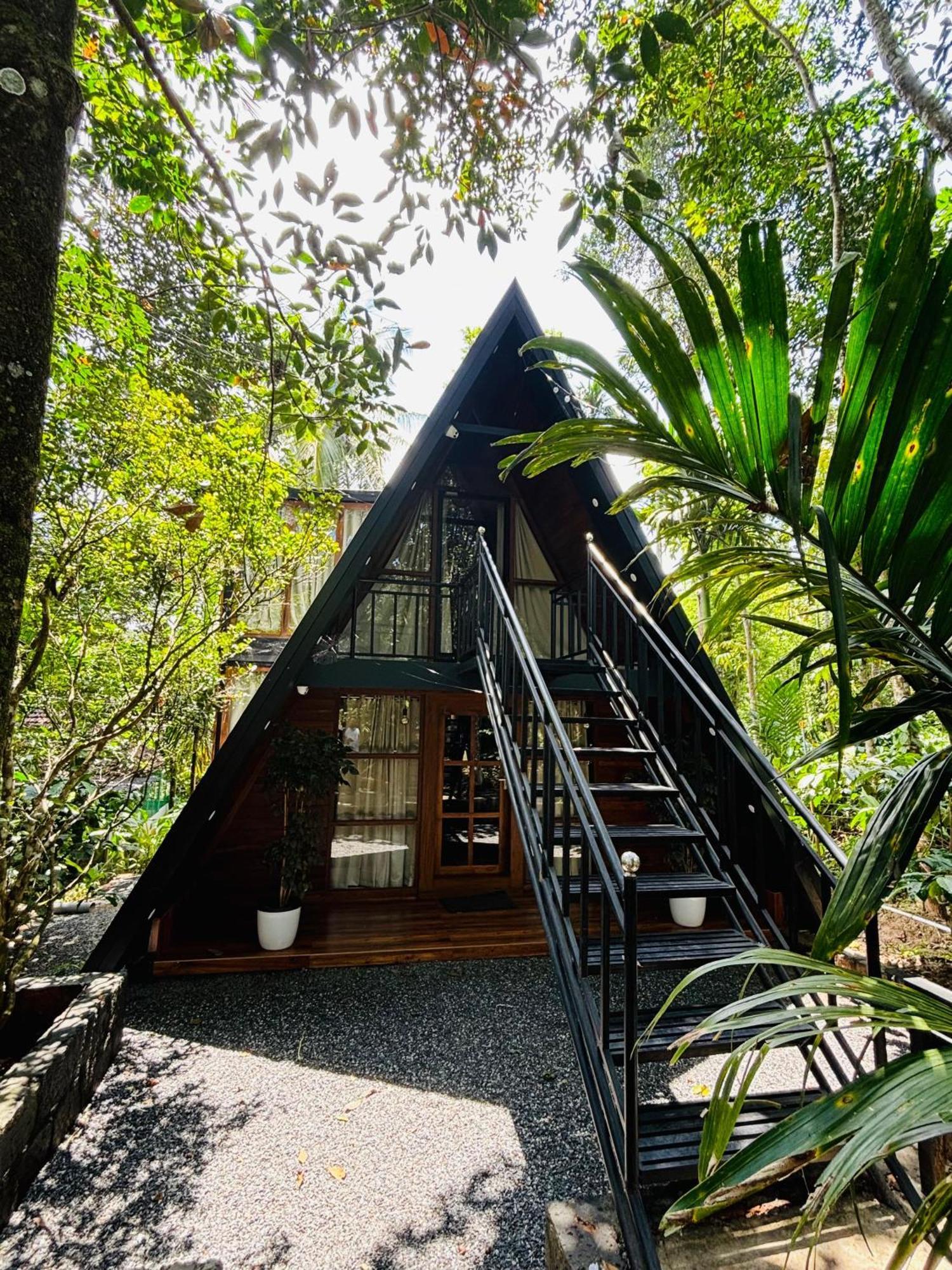 Wild Castle Wayanad Holiday home *