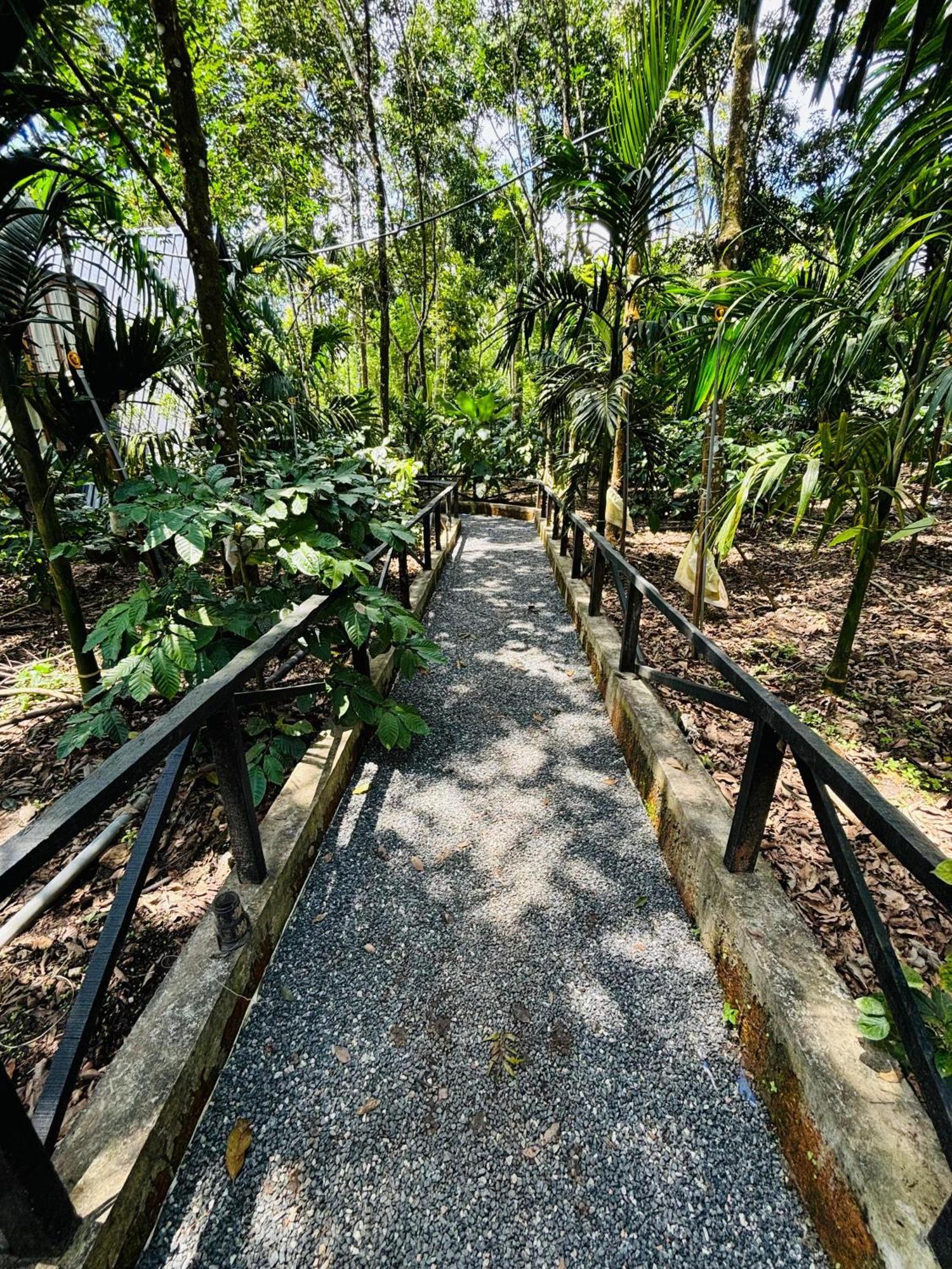 Holiday home Wild Castle Wayanad